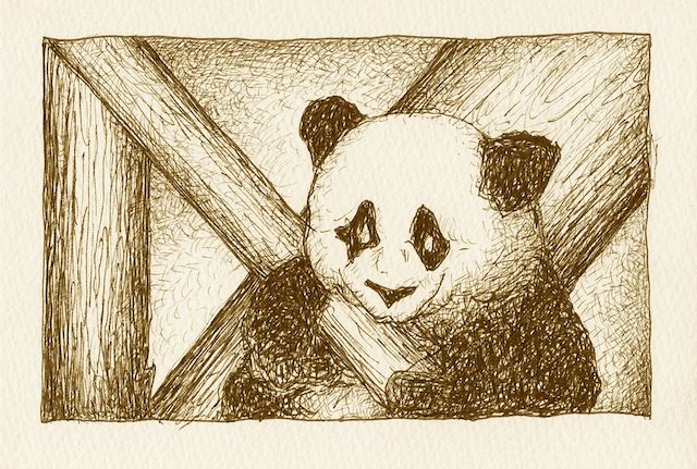 Panda sitting in tree